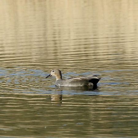 Gite De L'Etang Belval-en-Argonne Εξωτερικό φωτογραφία