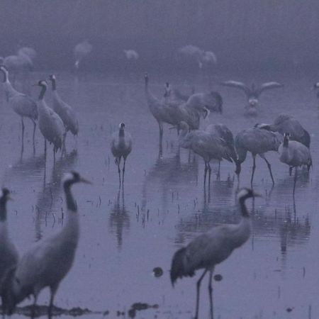 Gite De L'Etang Belval-en-Argonne Εξωτερικό φωτογραφία